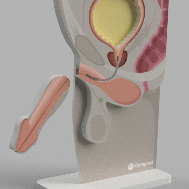 Luja male demo tool - EU
